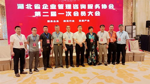 湖北省企業(yè)管理咨詢(xún)服務(wù)協(xié)會(huì)換屆,程鵬當(dāng)選為會(huì)長(zhǎng)